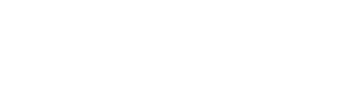 Guardy